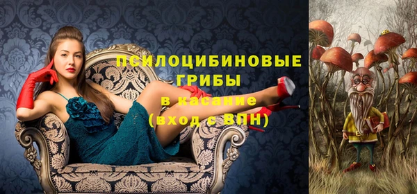крисы Алексин