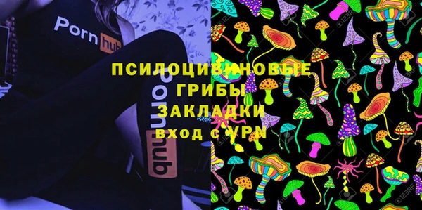 ECSTASY Абаза